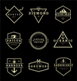 vintage badges collection vector image