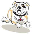 bulldog vector image vector image