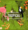 tropical flowers background summer design vector image