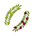 branch with black and green olives vector image vector image