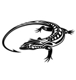 black iguana lizard vector image