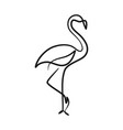 flamingo continuous one line art drawing vector image