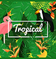 tropical flowers background summer design vector image