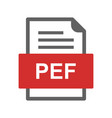 pef file document icon vector image