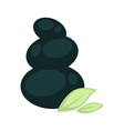 dark olive fruit pile with green leaves isolated vector image