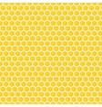 seamless pattern vector image