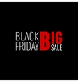 abstract black friday sale layout vector image