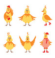six laying hens on a white vector image