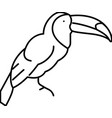 toucan exotic bird line icon vector image vector image