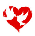 pigeons with heart vector image