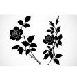 rose stem ornaments vector image vector image