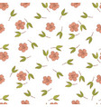 spring lawn season nature seamless pattern vector image