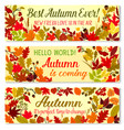 autumn banner of fall season forest nature frame vector image vector image