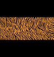 texture tiger orange stripe black background vector image