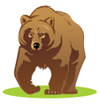 a bear vector image vector image