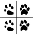 prints of animal paws flat style vector image