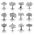 set trees with roots on white background vector image vector image