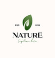 leaf flower green gradient logo template isolated vector image