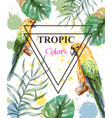 tropical paradise with watercolor parrots and palm vector image vector image