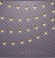christmas lights vector image vector image