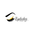 eyelash extension icon for beauty salon lash vector image vector image