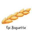 french bakery vector image