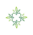 leaf and health logo template vector image
