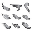 wings set vector image