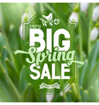 spring sale poster vector image vector image