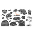 potato products glyph icons set vector image vector image