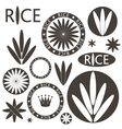 rice set vector image vector image