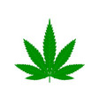 cannabis marijuana hemp green leaf flat symbol vector image