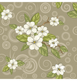 magnolia flowers vector image