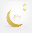 ramadan backgrounds crescent moon vector image