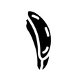 slice aloe vera glyph icon vector image vector image