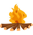 campfire vector image vector image