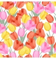spring flowers tulips natural seamless pattern vector image vector image