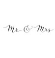 mr and mrs words with ampersand mister and missis vector image