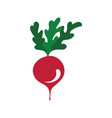 radishes icon vector image