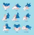 shadow theater hands gesture like flying bird vector image
