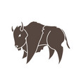 buffalo running bison graphic vector image