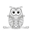 hand drawn owl for adult and children coloring vector image