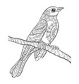 adult coloring bookpage a cute bird on the brunch vector image