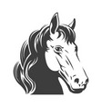 wild mustang head vector image vector image