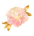 cream pink peony flower in oriental trend vector image