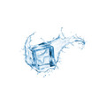 swirl water splash ice cube and little drops vector image