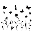 black flowers butterflies and dragonflies vector image