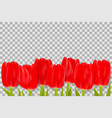bouquet of red tulips with space for greeting vector image vector image