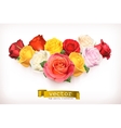 bouquet of roses vector image