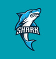 shark esport logo vector image vector image